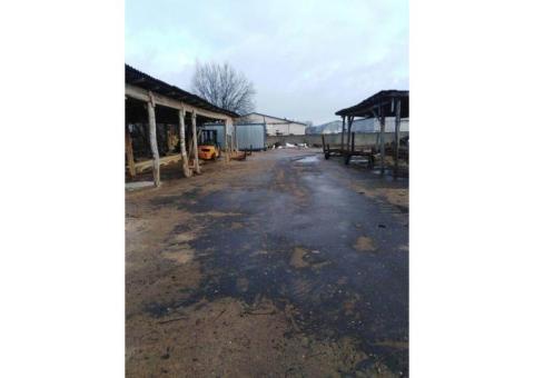 Деревообрабатывающее предприятие в Фаниполе