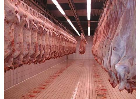 Мясоперерабатывающее предприятие