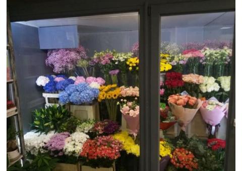 Салон цветов в центре Минска