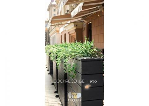 Гастробар в центре столицы