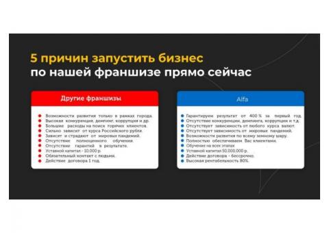 Франшиза маркетингового агентства "Альфа"