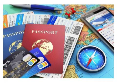 Доля 40% в успешной компании по визовой поддержке