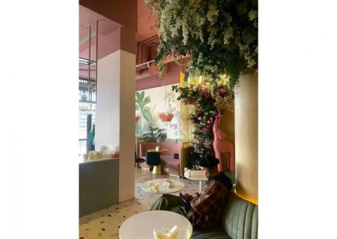 Кондитерский бизнес с сетью кафе