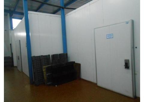 Предприятие по переработке рыбы и морепродуктов