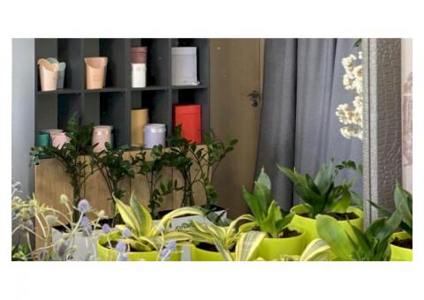 Цветочный магазин на улице Маяковского