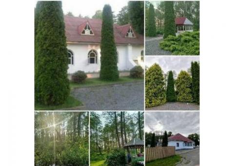 Уютное кафе в живописном месте недалеко от Могилева