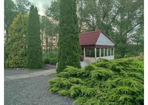 Уютное кафе в живописном месте недалеко от Могилева