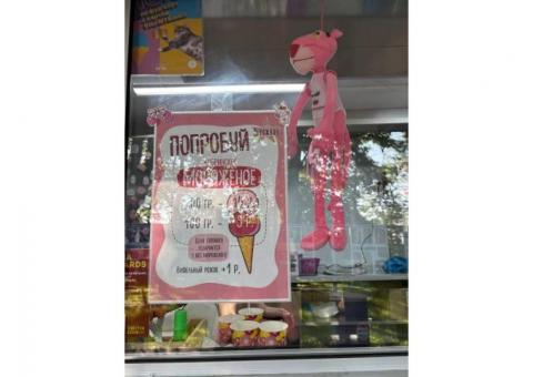 Мобильный торговый объект по продаже мороженого