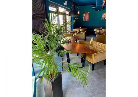 Действующий ресторан-бар BBJ Grill Bar
