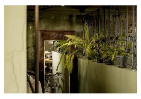 Диско-бар "Кровать" в Гродно