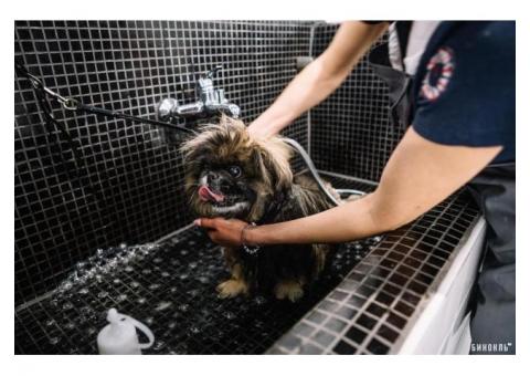 Салон красоты для животных в Бресте