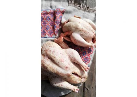 Бизнес по доставке фермерских продуктов