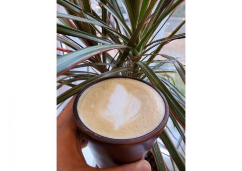 Кофейня около университета