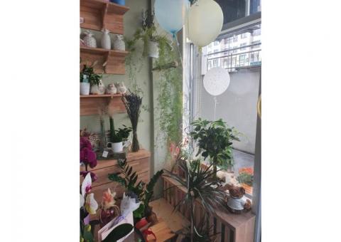 Цветочный магазин в пешеходной зоне бутиков и кафе