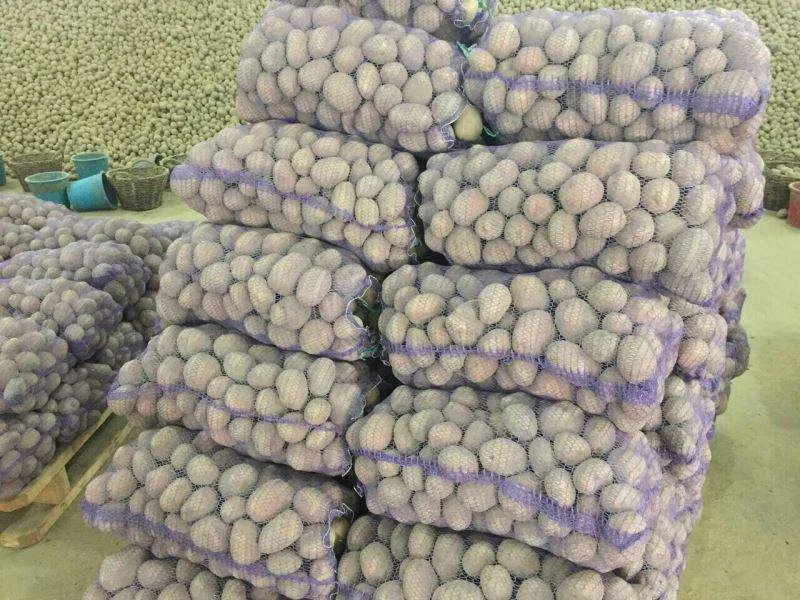 Поставщик картофеля из Украины