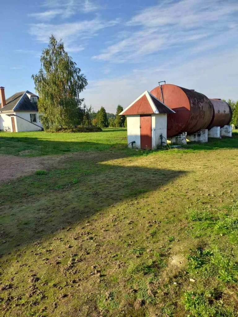 Фермерское хозяйство в Раубичах