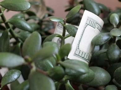 Бизнес хотят обложить еще одним налогом в 1% от выручки.